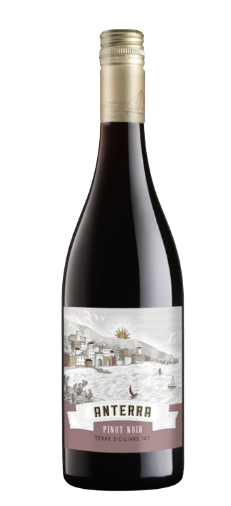 Anterra Pinot Noir Terre Siciliane 750 ML