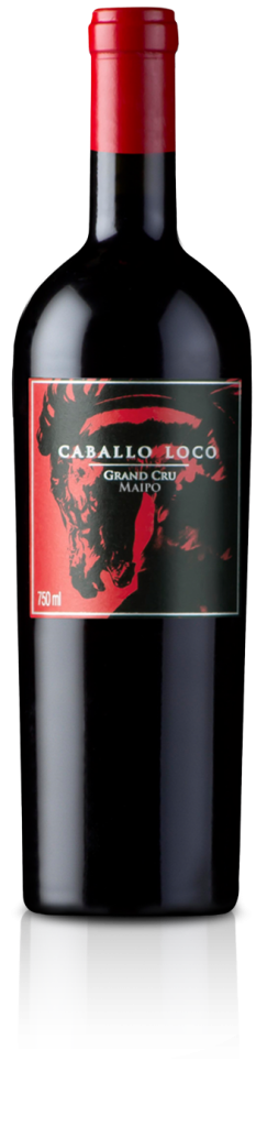 Caballo Loco Grand Cru Maipo 2020 Valley 750 ML