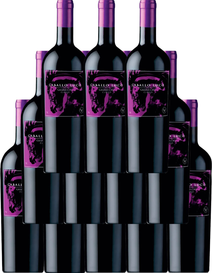Caballo Loco Grand Cru Curico Valley 2022 750 ML (12 Bottles)