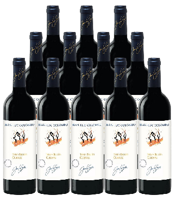 Jean Luc Colombo Cornas Terres Brulees 2020 750 ML (12 Bottles)