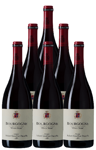 Robert Groffier Bourgogne Pinot Noir 2022 750 ML (6 Bottles)