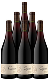 Copain Pinot Noir Sonoma Coast 2022 750 ML (6 Bottles)