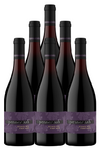 Penner Ash Pinot Noir Willamette Valley 2022 750 ML (6 Bottles)