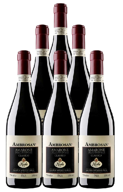 Nicolis Amarone Della Valpolicella Classico Ambrosan 2013 750 ML (6 Bottles)