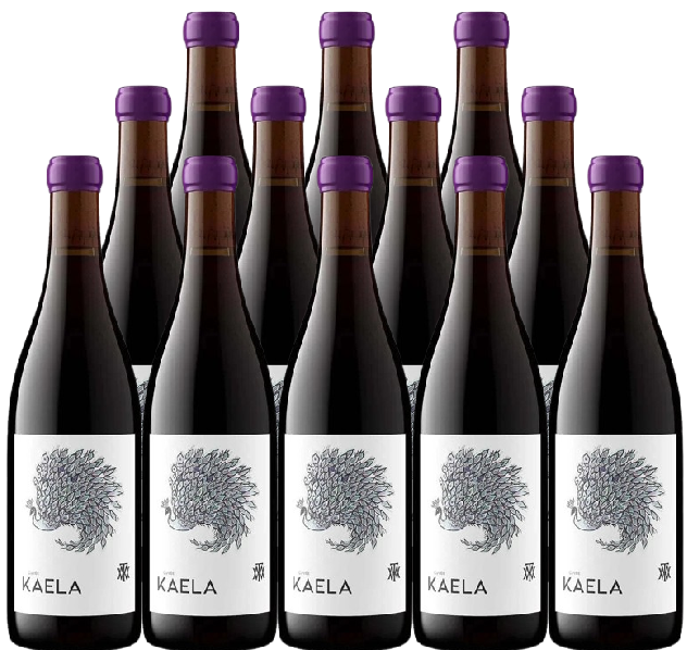 Matt Taylor Wines Pinot Noir Cuvee Kaela Komorebi Vineyard Sonoma Coast 2017 750 ML (12 Bottles)