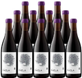 Matt Taylor Wines Pinot Noir Cuvee Kaela Komorebi Vineyard Sonoma Coast 2017 750 ML (12 Bottles)