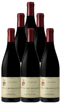 Domaine Castagnier Coteaux Bourguignons Rouge 2021 750 ML (6 Bottles)