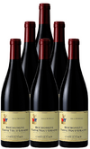 Domaine Castagnier Bourgogne Passe Tout Grains 2021 750 ML (6 Bottles)