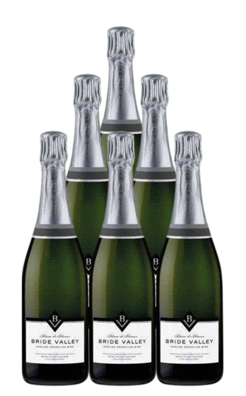 Bride Valley Vineyard Blanc De Blancs 750 ML (6 Bottles)