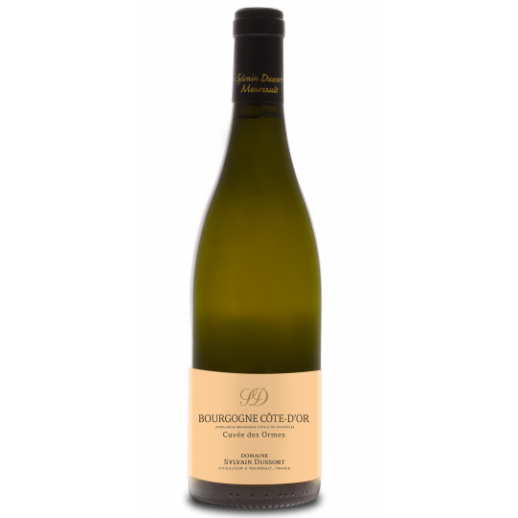 Sylvain Dussort Bourgogne Blanc Cuvee des Ormes 2021 750 ML