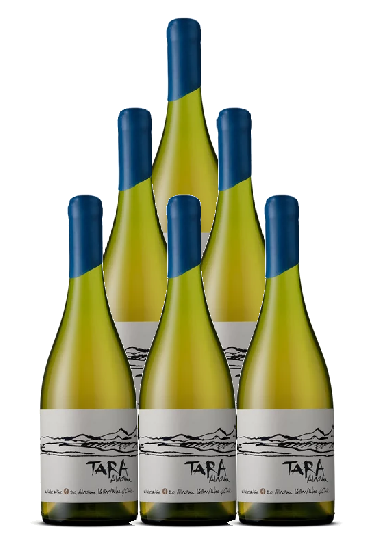 Tara Chardonnay Atacama  2021 750 ML  (6 Bottles)