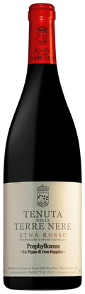 Tenuta delle Terre Nere Prephylloxera 2023 750 ML