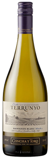 Terrunyo Sauvignon Blanc Los Boldos Vineyard Valle De Casablanca 2019 750 ML