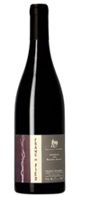 Thierry Germain Saumur Champigny Franc De Pied 2019 750 ML