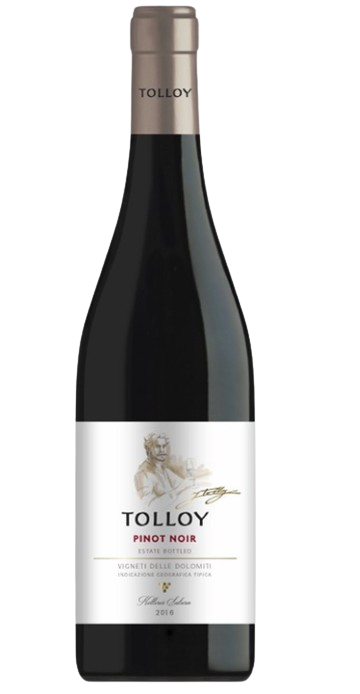 Tolloy Pinot Noir Vigneti Delle Dolomiti 2024 750 ML