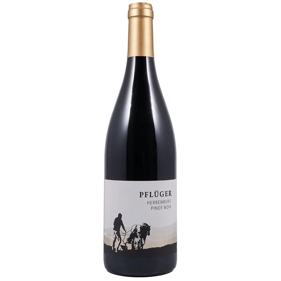 Pfluger Herrenberg Pinot Noir GG Pfalz 2021 750 ML