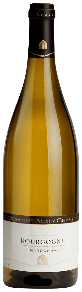 Domaine Alain Chavy Bourgogne Chardonnay 2022 750 ML