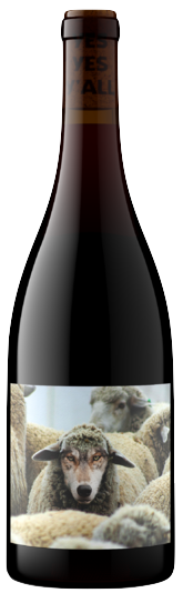Maison Noir Pinot Noir In Sheep's Clothing 2023 750 ML
