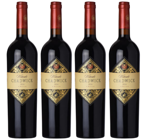 Chadwick Cabernet Sauvignon 2015, 2016, 2018, 2020 750 ML (4 Bottles)