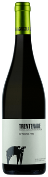 San Salvatore Trentenare Fiano Paestum 2025 750 ML