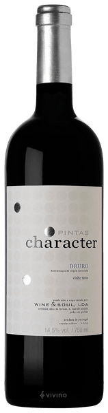 Wine and Soul Pintas Character 2022 750 ML