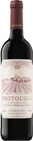 Dominio de Eguren 'Protocolo' Tinto 2023 750 ML