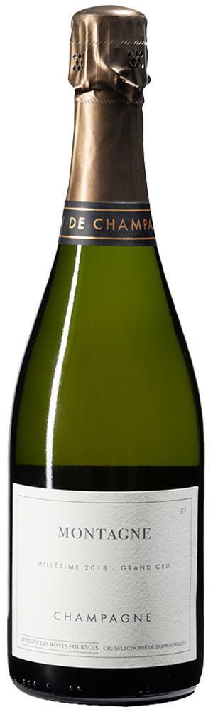 Les Monts Fournois Montagne Bouzy Grand Cru 2013 750 ML