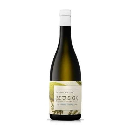 J. Cabral Almeida Dao Branco Musgo Reserva Branco 2023 Portuguese white wine bottle