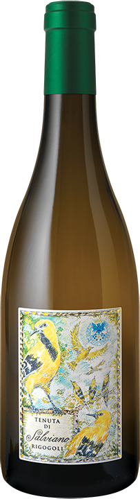 Tenuta di Salviano Rigogoli 2023 750 ML