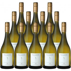 Pulenta Estate Sauvignon Blanc VI Agrelo 2021 750 ML (12 Bottles)